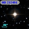 HD 232491