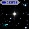 HD 232503