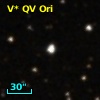 V* QV Ori