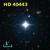 HD  40443
