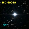 HD  40019