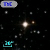 TYC 1307-921-1