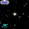 TYC 1311-1031-1