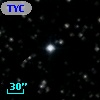 TYC 1311-2795-1