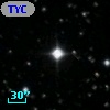 TYC 1311-3049-1