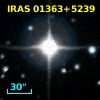 IRAS 01363+5239