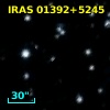 IRAS 01392+5245