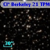 Cl* Berkeley   21    TPM      74