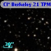Cl* Berkeley   21    TPM     445