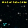 IRAS 01295+5156