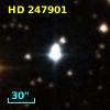 HD 247901