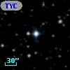 TYC 1303-1115-1