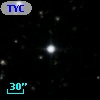 TYC 1307-1044-1