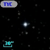 TYC 1316-217-1