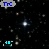 TYC 1316-1254-1