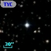 TYC 1316-1445-1