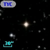 TYC 1316-2029-1