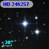 HD 248257