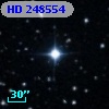 HD 248554