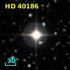 HD  40186