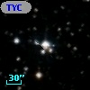 TYC 1312-925-1