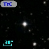 TYC 1312-944-1