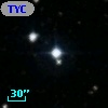 TYC 1312-1182-1