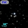 TYC 1312-2146-1