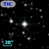 TYC 1312-2774-1