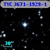 TYC 3671-1929-1