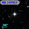 HD 247953