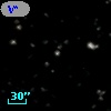 V* V665 Ori