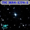 TYC 3684-1274-1