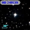 HD 249539