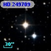 HD 249709