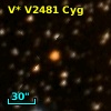 V* V2481 Cyg
