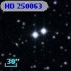 HD 250063