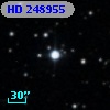 HD 248955