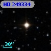 HD 249334