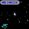HD 248224
