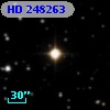 HD 248263