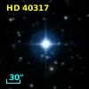 HD  40317