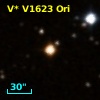 V* V1623 Ori