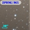 [SPB96]  965