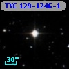 TYC  129-1246-1