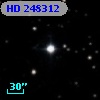 HD 248312
