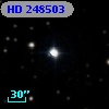 HD 248503