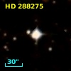 HD 288275