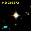 HD 288273