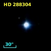 HD 288304